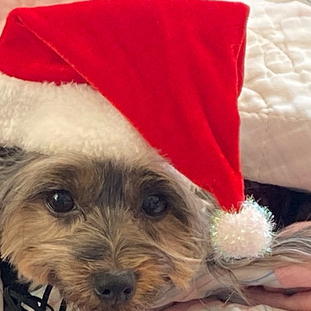 Meet your Posher, Beth